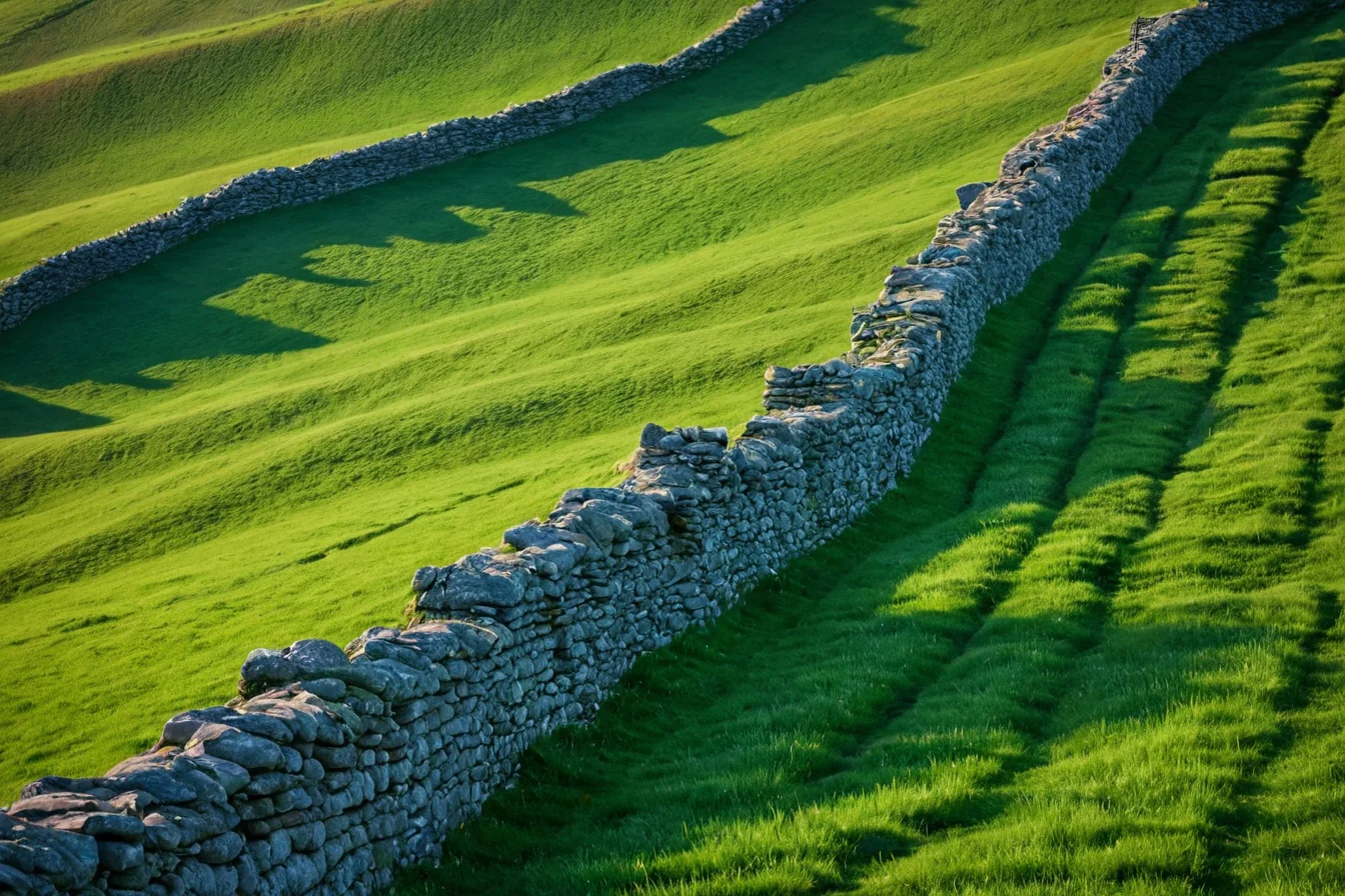 A stone wall meanders through lush green hills with long shadows cast by the sun.