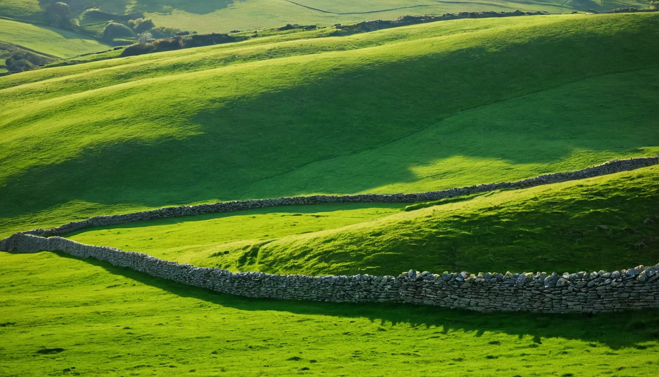 Rolling green hills separated by stone walls under bright sunlight.